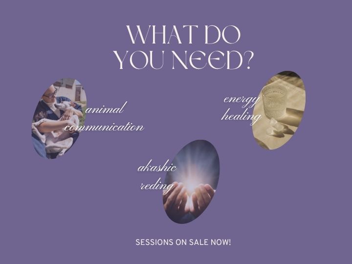 JUNE VIRTUAL APPOINTMENTS NOW AVAILABLE